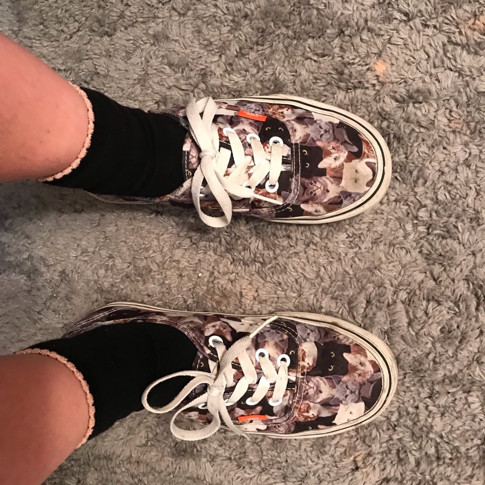 Cat Vans